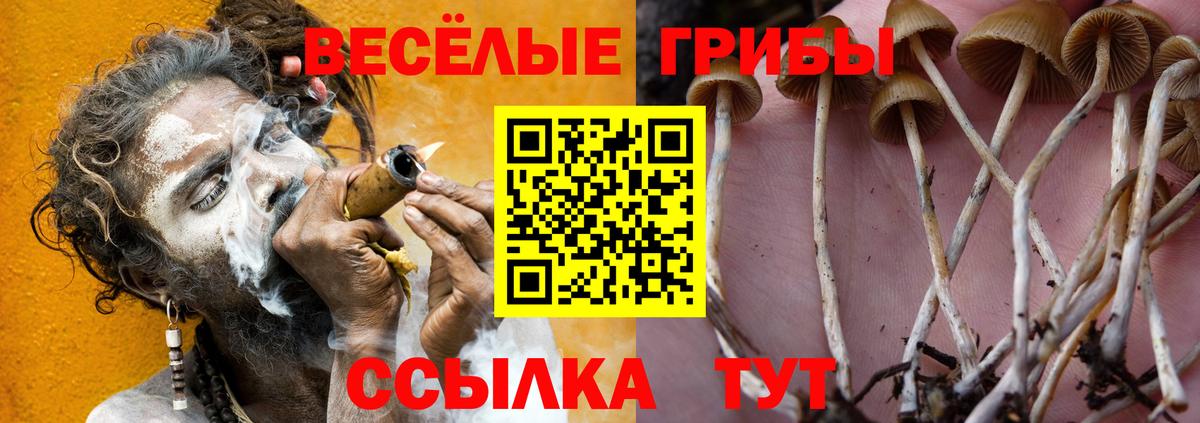 Орск  Псилоцибиновые грибы прущие грибы  Вход с VPN 